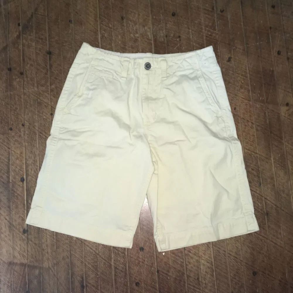 American Eagle classic length size 30 basics shorts